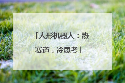 人形机器人：热赛道，冷思考