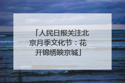 人民日报关注北京月季文化节：花开锦绣映京城