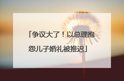 争议大了！以总理抱怨儿子婚礼被推迟