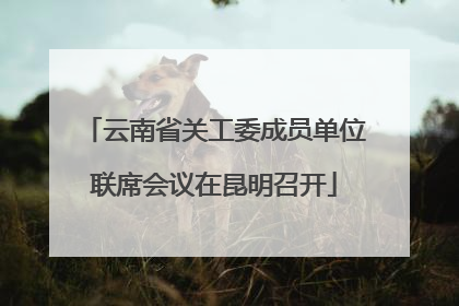 云南省关工委成员单位联席会议在昆明召开