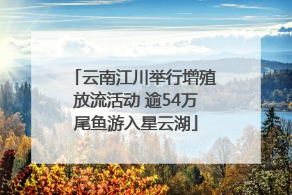 云南江川举行增殖放流活动 逾54万尾鱼游入星云湖