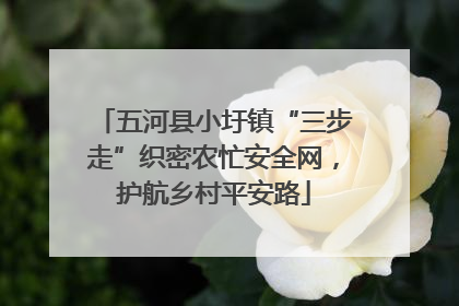 五河县小圩镇“三步走”织密农忙安全网，护航乡村平安路