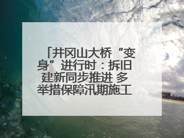 井冈山大桥“变身”进行时：拆旧建新同步推进 多举措保障汛期施工（图）