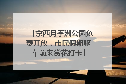 京西月季洲公园免费开放，市民假期驱车前来赏花打卡