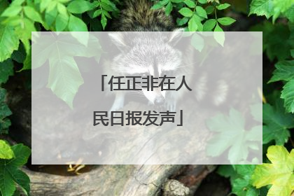 任正非在人民日报发声