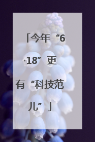 今年“6·18”更有“科技范儿”