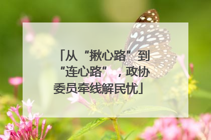 从“揪心路”到“连心路”，政协委员牵线解民忧