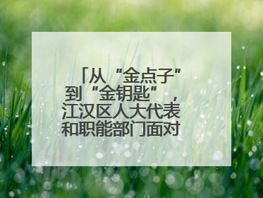 从“金点子”到“金钥匙”，江汉区人大代表和职能部门面对面解企业难题