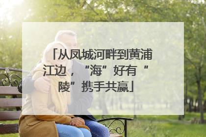 从凤城河畔到黄浦江边，“海”好有“陵”携手共赢