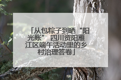 从包粽子到晒“阳光账” 四川资阳雁江区端午活动里的乡村治理答卷