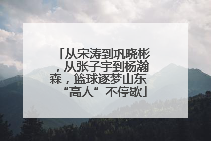 从宋涛到巩晓彬，从张子宇到杨瀚森，篮球逐梦山东“高人”不停歇