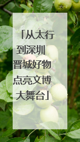 从太行到深圳 晋城好物点亮文博大舞台
