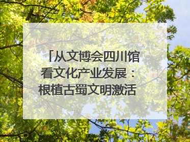 从文博会四川馆看文化产业发展：根植古蜀文明激活创新基因｜文博向“新”