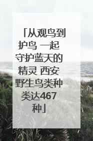 从观鸟到护鸟 一起守护蓝天的精灵 西安野生鸟类种类达467种