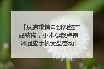 从追求销量到调整产品结构，小米总裁卢伟冰回应手机大盘变动