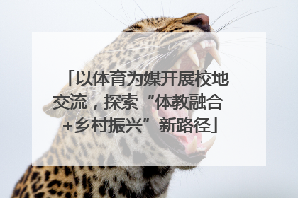 以体育为媒开展校地交流，探索“体教融合+乡村振兴”新路径