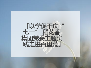 以学促干庆“七一” 稻花香集团党委主题实践走进百里荒