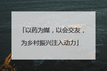 以药为媒，以会交友，为乡村振兴注入动力