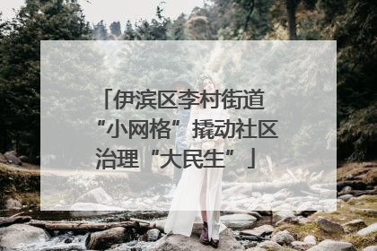 伊滨区李村街道 “小网格”撬动社区治理“大民生”