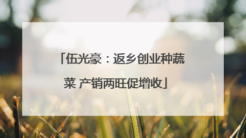 伍光豪：返乡创业种蔬菜 产销两旺促增收
