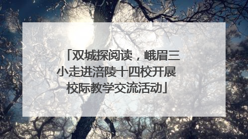 双城探阅读，峨眉三小走进涪陵十四校开展校际教学交流活动