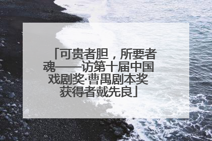 可贵者胆，所要者魂——访第十届中国戏剧奖·曹禺剧本奖获得者戴先良
