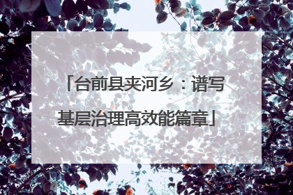 台前县夹河乡：谱写基层治理高效能篇章