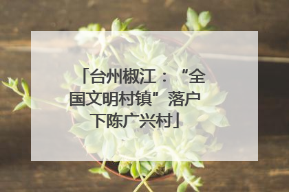 台州椒江：“全国文明村镇”落户下陈广兴村