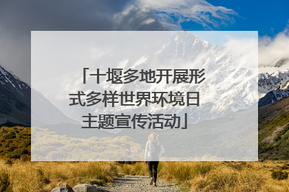 十堰多地开展形式多样世界环境日主题宣传活动