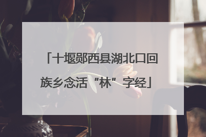 十堰郧西县湖北口回族乡念活“林”字经