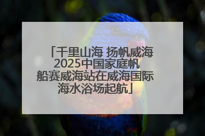 千里山海 扬帆威海 2025中国家庭帆船赛威海站在威海国际海水浴场起航