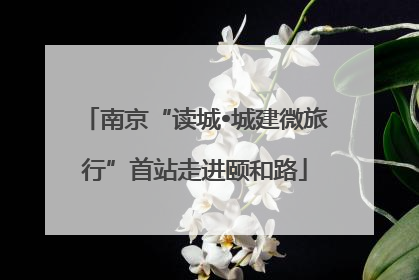 南京“读城•城建微旅行”首站走进颐和路