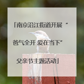 南京沿江街道开展“爸气全开 爱在当下”父亲节主题活动