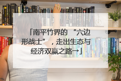 南平竹界的 “六边形战士”，走出生态与经济双赢之路→