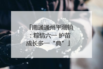南通通州平潮镇：粽情六一 护苗成长多一“典”