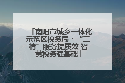 南阳市城乡一体化示范区税务局：“三精”服务提质效 智慧税务强基础