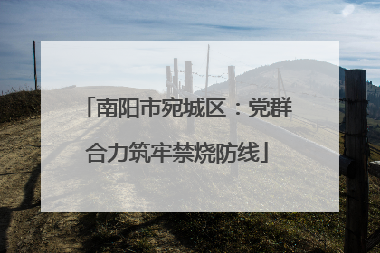 南阳市宛城区：党群合力筑牢禁烧防线