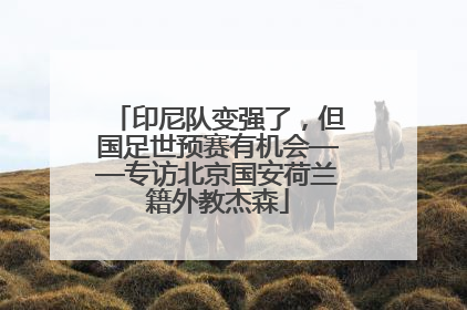 印尼队变强了，但国足世预赛有机会——专访北京国安荷兰籍外教杰森