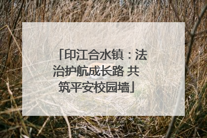 印江合水镇：法治护航成长路 共筑平安校园墙
