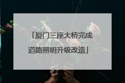 厦门三座大桥完成道路照明升级改造