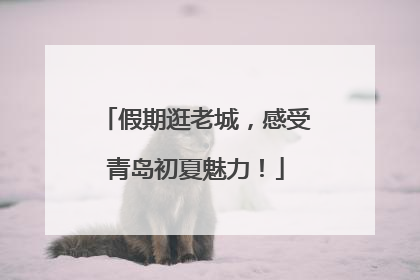 假期逛老城，感受青岛初夏魅力！