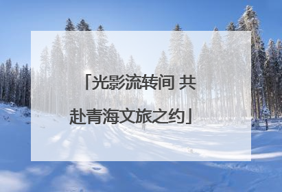 光影流转间 共赴青海文旅之约