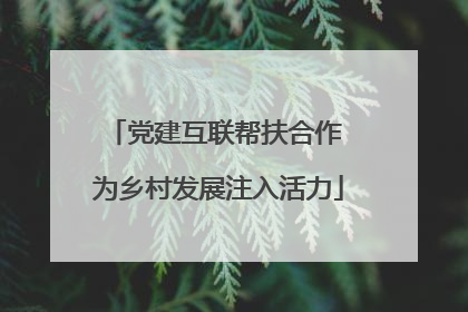 党建互联帮扶合作 为乡村发展注入活力