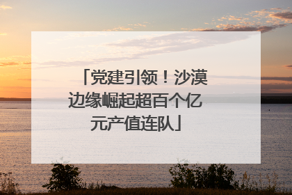 党建引领！沙漠边缘崛起超百个亿元产值连队