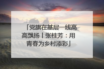党旗在基层一线高高飘扬丨张桂芳：用青春为乡村添彩
