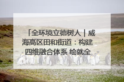 全环境立德树人｜威海高区田和街道：构建四维融合体系 绘就全环境立德树人新画卷
