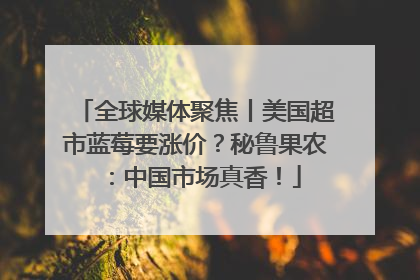 全球媒体聚焦丨美国超市蓝莓要涨价？秘鲁果农：中国市场真香！