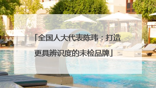 全国人大代表陈玮：打造更具辨识度的未检品牌