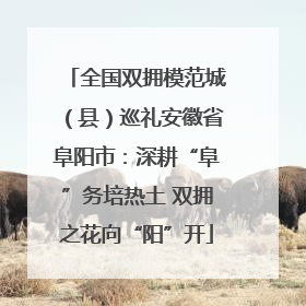 全国双拥模范城（县）巡礼安徽省阜阳市：深耕“阜”务培热土 双拥之花向“阳”开