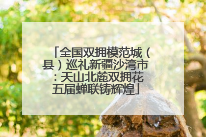 全国双拥模范城（县）巡礼新疆沙湾市：天山北麓双拥花 五届蝉联铸辉煌